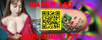 амф Заволжье